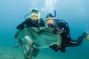 Naturalist Scuba Diving Course in Saint Croix, US Virgin Islands